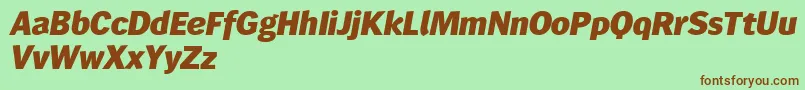 Wendelinreduced86fettkursiv Font – Brown Fonts on Green Background