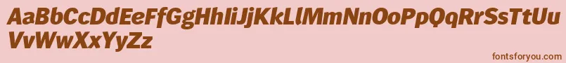 Wendelinreduced86fettkursiv Font – Brown Fonts on Pink Background