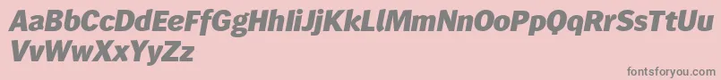 Wendelinreduced86fettkursiv Font – Gray Fonts on Pink Background