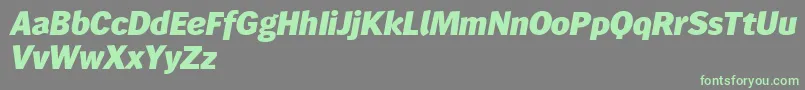 Wendelinreduced86fettkursiv Font – Green Fonts on Gray Background