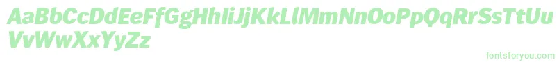Wendelinreduced86fettkursiv Font – Green Fonts on White Background