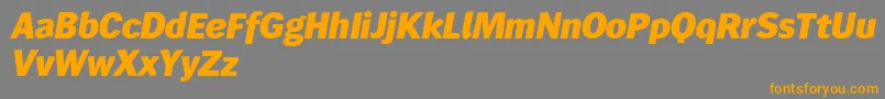 Wendelinreduced86fettkursiv Font – Orange Fonts on Gray Background