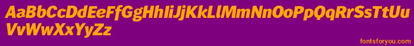 Wendelinreduced86fettkursiv Font – Orange Fonts on Purple Background