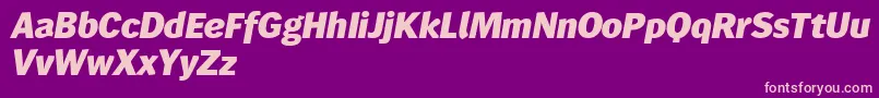 Wendelinreduced86fettkursiv Font – Pink Fonts on Purple Background