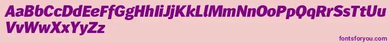 Wendelinreduced86fettkursiv Font – Purple Fonts on Pink Background