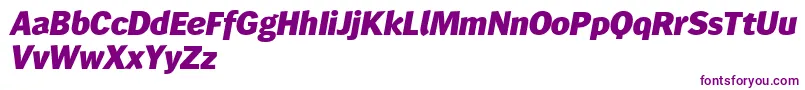 Wendelinreduced86fettkursiv Font – Purple Fonts on White Background