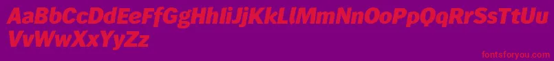 Wendelinreduced86fettkursiv Font – Red Fonts on Purple Background