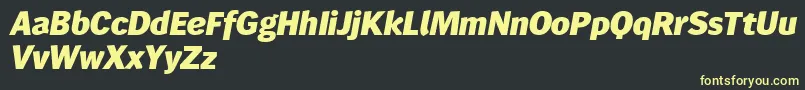 Wendelinreduced86fettkursiv Font – Yellow Fonts on Black Background