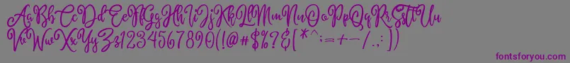 AlyssumDemo-Schriftart – Violette Schriften auf grauem Hintergrund
