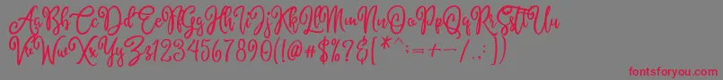 AlyssumDemo Font – Red Fonts on Gray Background