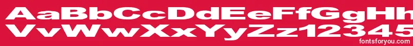 Viennahy Font – White Fonts on Red Background