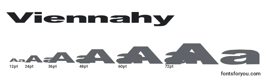 Размеры шрифта Viennahy