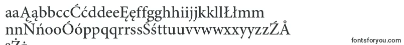 MinionproMedium Font – Polish Fonts