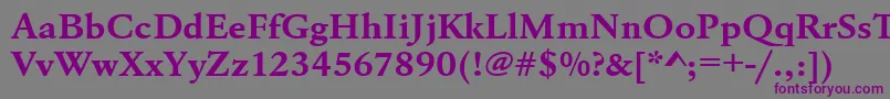 UrwgaramondtextwidBold Font – Purple Fonts on Gray Background