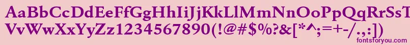 UrwgaramondtextwidBold Font – Purple Fonts on Pink Background