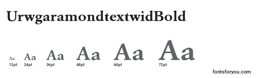 Размеры шрифта UrwgaramondtextwidBold