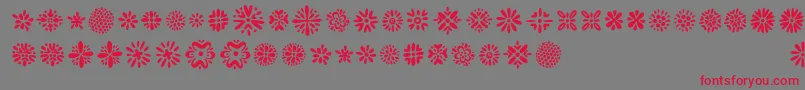 Kembang Font – Red Fonts on Gray Background