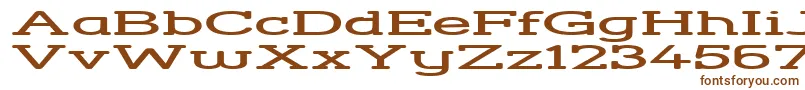 StreetCornerSlabHyperextend Font – Brown Fonts