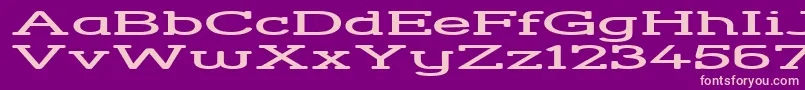 StreetCornerSlabHyperextend Font – Pink Fonts on Purple Background