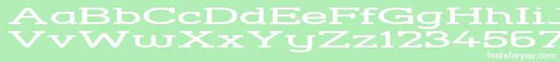 StreetCornerSlabHyperextend Font – White Fonts on Green Background