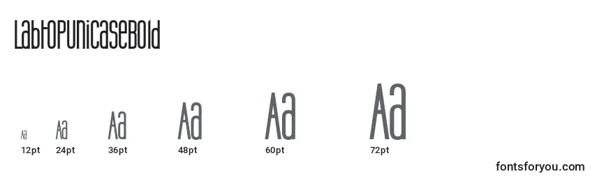 LabtopUnicaseBold Font Sizes