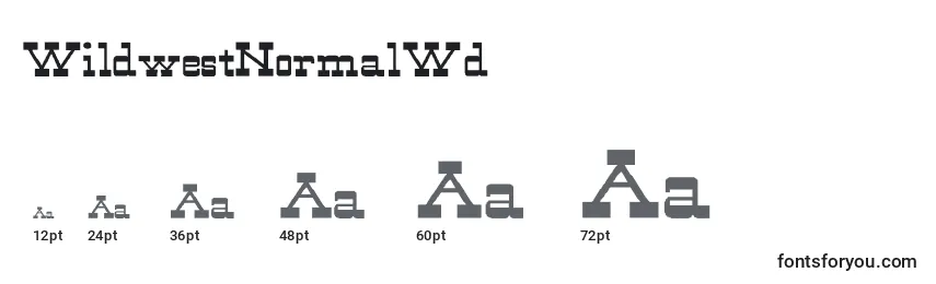 Размеры шрифта WildwestNormalWd