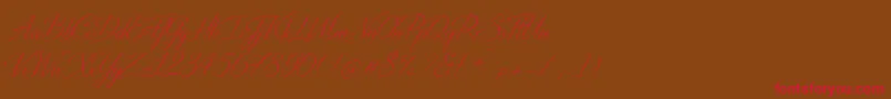DistantStroke Font – Red Fonts on Brown Background
