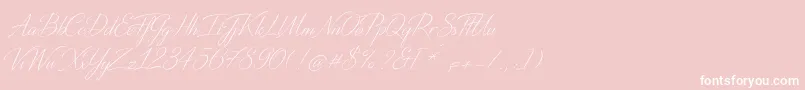 DistantStroke-Schriftart – Weiße Schriften auf rosa Hintergrund