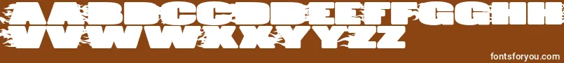 JumboBurn Font – White Fonts on Brown Background