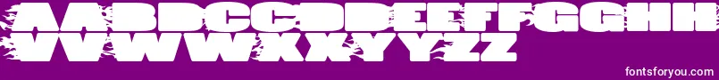 JumboBurn Font – White Fonts on Purple Background