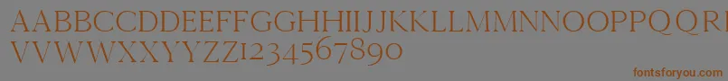 Cammrondemo Font – Brown Fonts on Gray Background