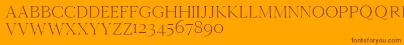 Cammrondemo Font – Brown Fonts on Orange Background