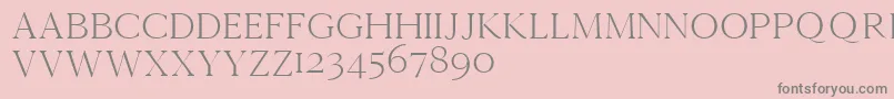 Cammrondemo Font – Gray Fonts on Pink Background