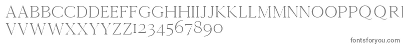 Cammrondemo Font – Gray Fonts