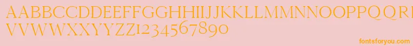 Cammrondemo Font – Orange Fonts on Pink Background