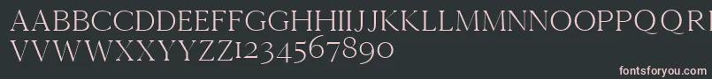 Cammrondemo Font – Pink Fonts on Black Background
