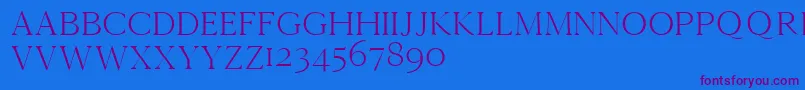 Cammrondemo Font – Purple Fonts on Blue Background