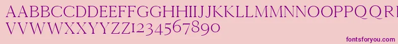 Cammrondemo Font – Purple Fonts on Pink Background