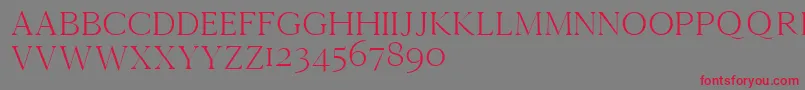 Cammrondemo Font – Red Fonts on Gray Background