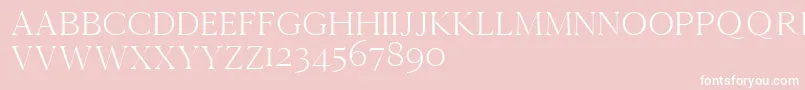 Cammrondemo Font – White Fonts on Pink Background