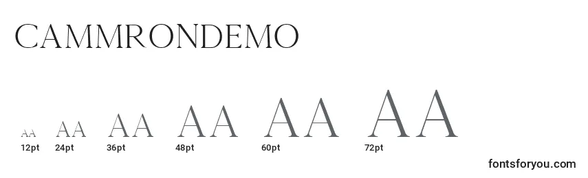 Размеры шрифта Cammrondemo (48314)