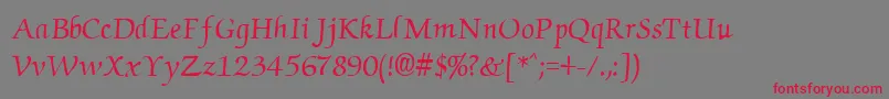 Cyrillicchancellor Font – Red Fonts on Gray Background