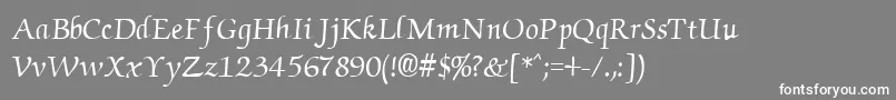 Cyrillicchancellor Font – White Fonts on Gray Background