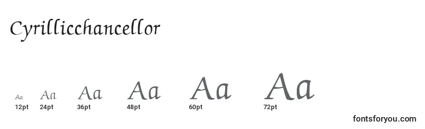 Размеры шрифта Cyrillicchancellor