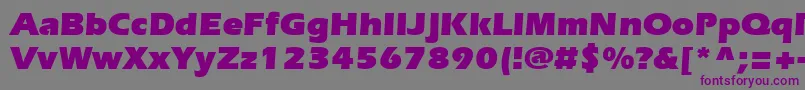 Czcionka ErieblackBold – fioletowe czcionki na szarym tle