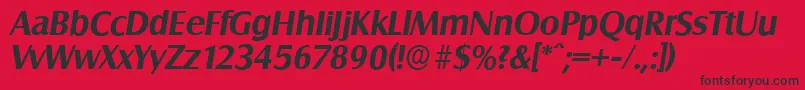 SalzburgserialBolditalic Font – Black Fonts on Red Background