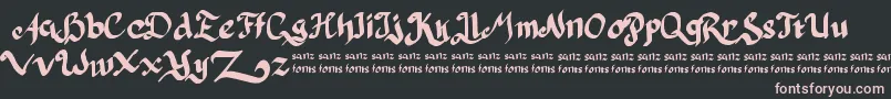 PulangDariParis-Schriftart – Rosa Schriften auf schwarzem Hintergrund