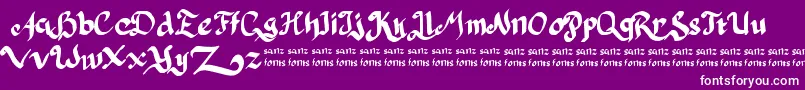 PulangDariParis-Schriftart – Weiße Schriften auf violettem Hintergrund