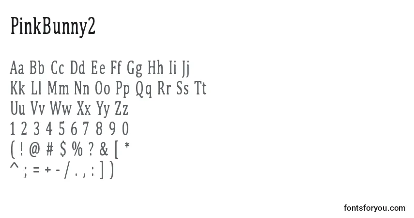 Czcionka PinkBunny2 – alfabet, cyfry, specjalne znaki