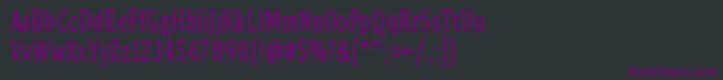 PinkBunny2 Font – Purple Fonts on Black Background